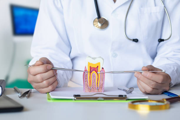 Best Emergency Dental Care for Broken or Chipped Teeth in Clover Creek, WA